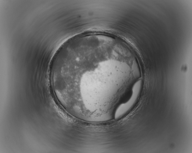 X0000112010976200908171439