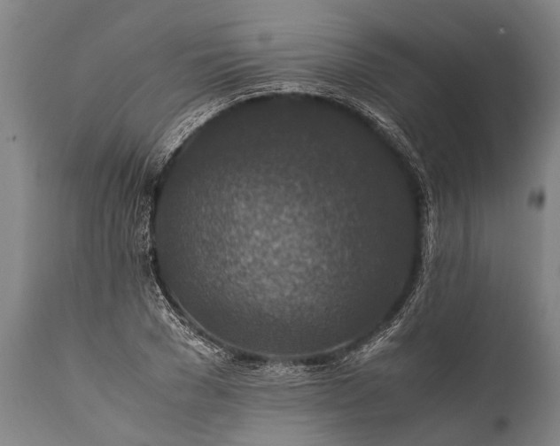 X0000112010977200908171439