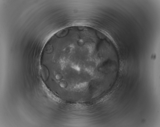 X0000112010980200908171439