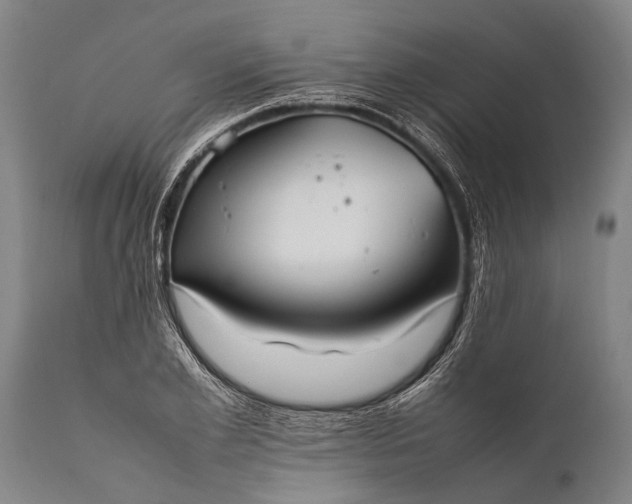 X0000112010981200908171439