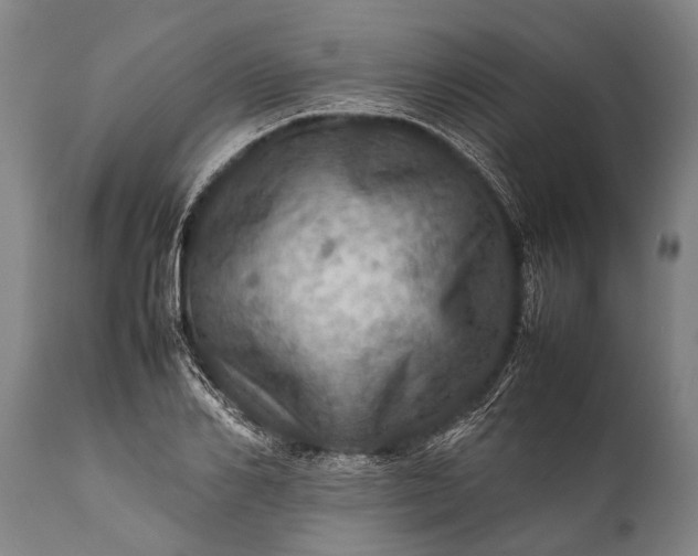 X0000112010982200908171439