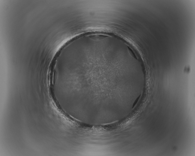 X0000112010983200908171439