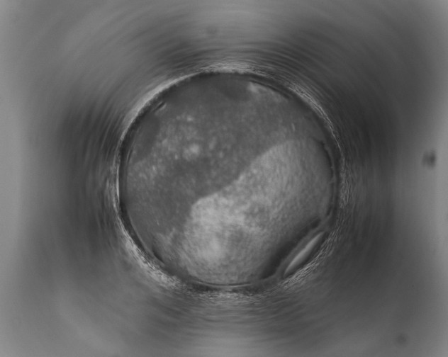 X0000112010984200908171439