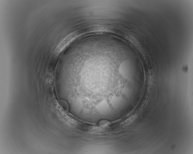 X0000112010985200908171439