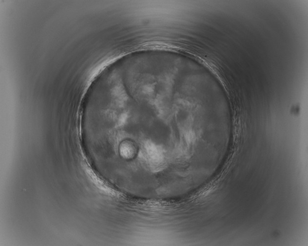 X0000112010987200908171439