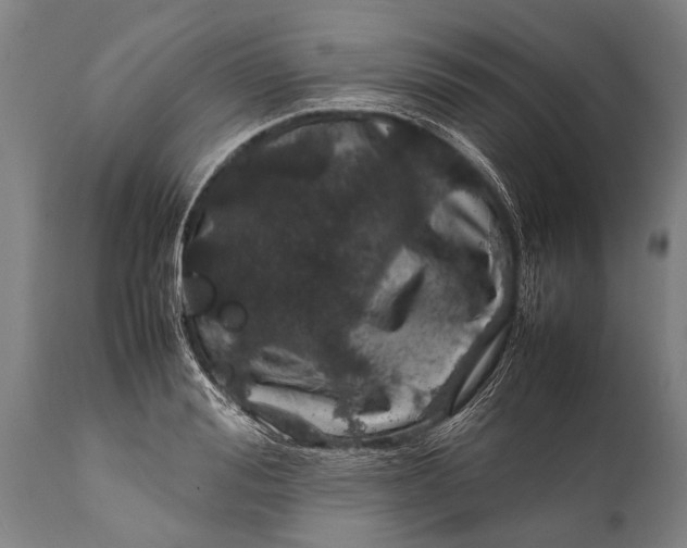 X0000112010988200908171439