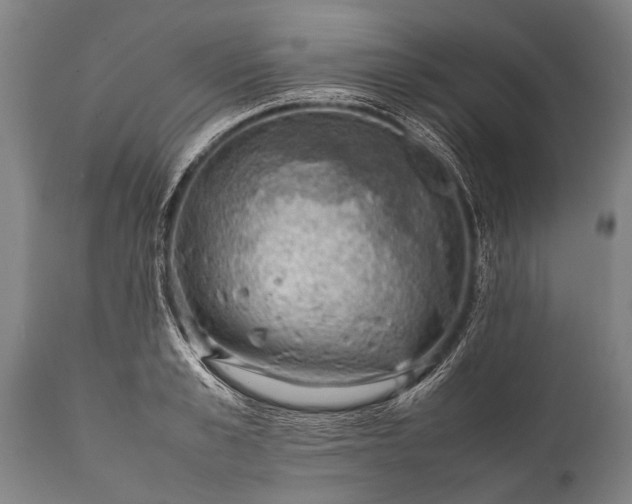 X0000112010989200908171439