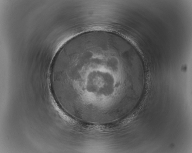 X0000112010991200908171439