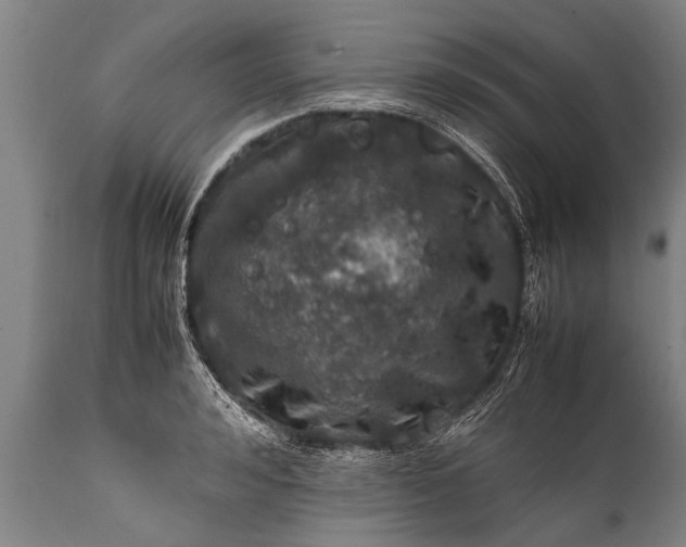 X0000112010992200908171439