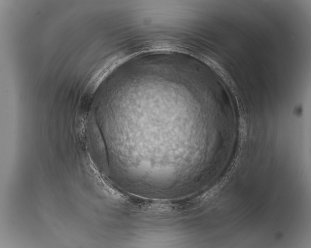 X0000112010993200908171439