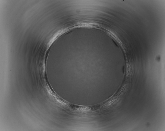 X0000112010994200908171439