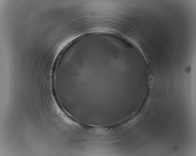 X0000112010995200908171439