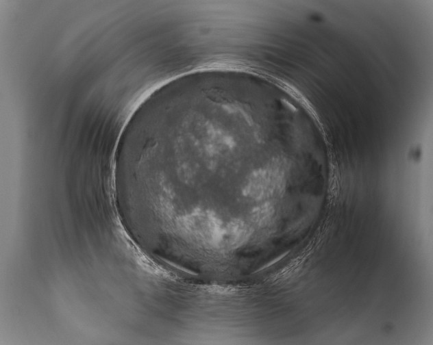 X0000112010996200908171438