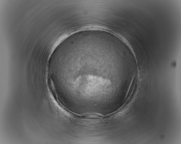 X0000112010997200908171438