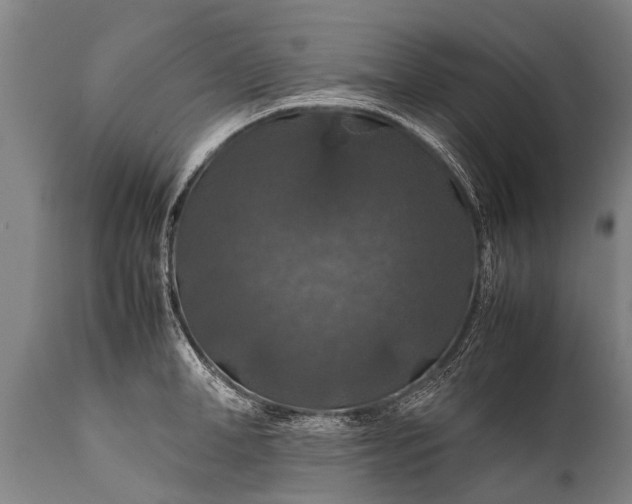 X0000112010998200908171438