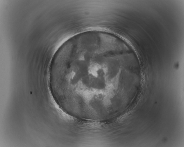 X0000112010999200908171438