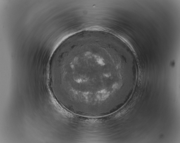 X0000112011000200908171438