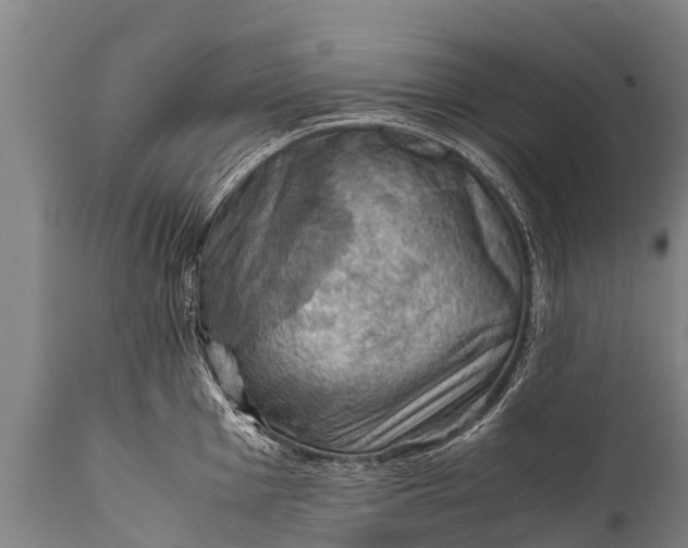 X0000112011001200908171438