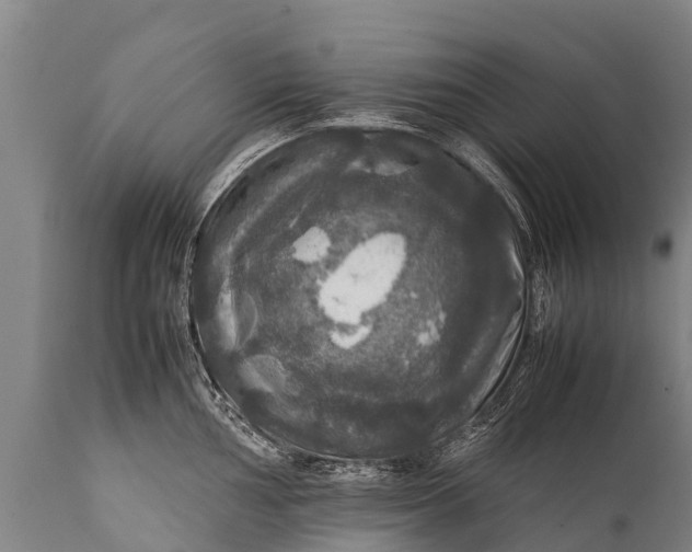 X0000112011002200908171438