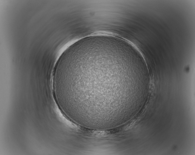 X0000112011003200908171438