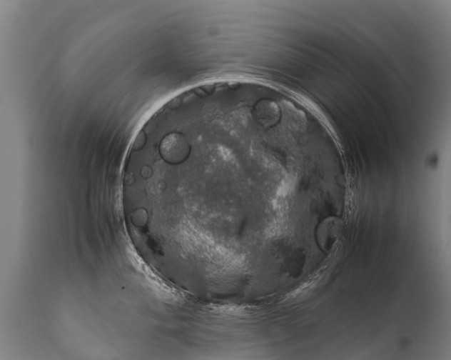 X0000112011004200908171438