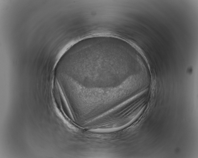 X0000112011005200908171438