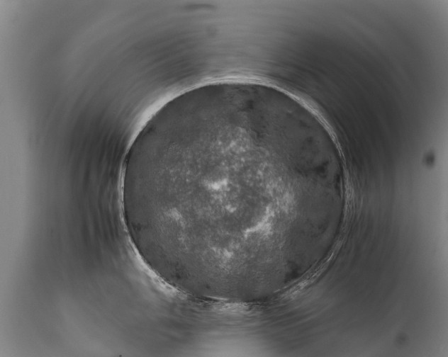 X0000112011006200908171438