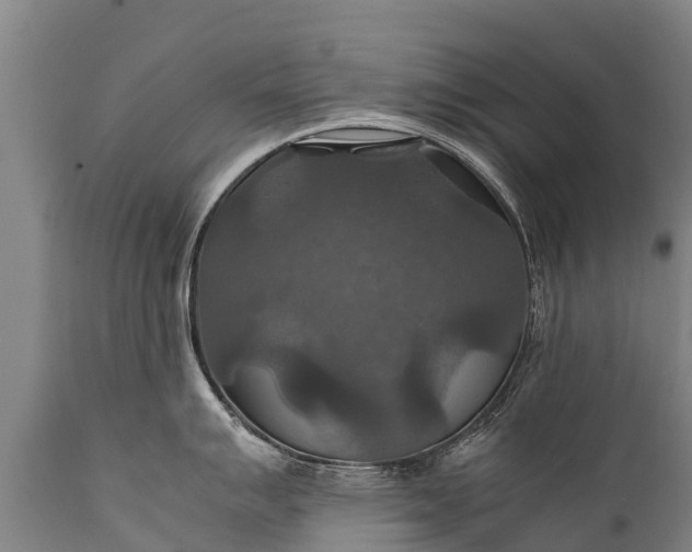 X0000112011007200908171438