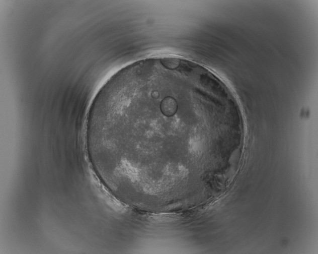 X0000112011008200908171438