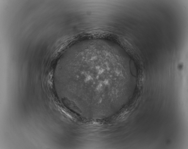 X0000112011010200908171438