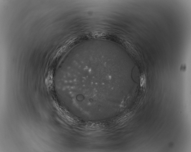 X0000112011011200908171438