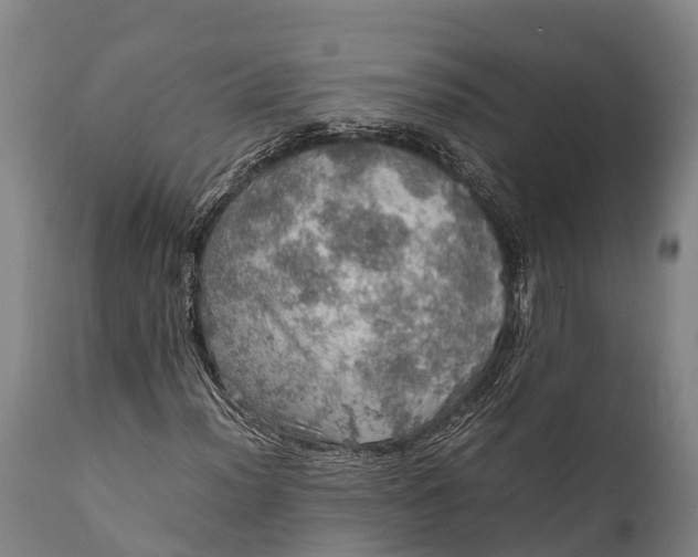 X0000112011012200908171438