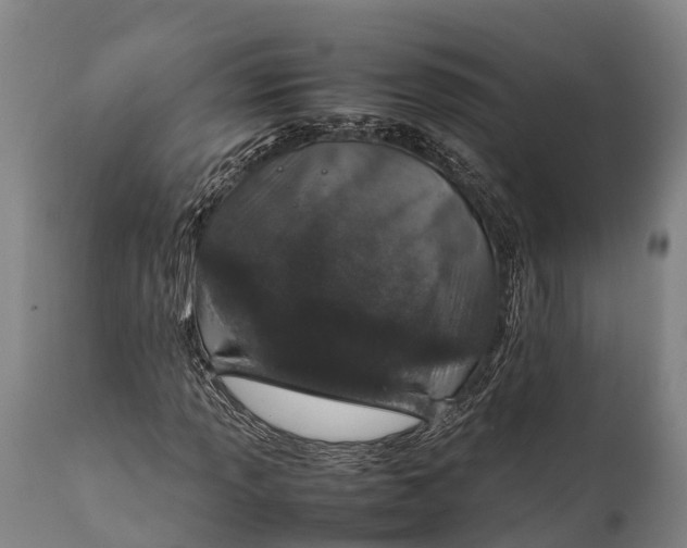 X0000112011013200908171438