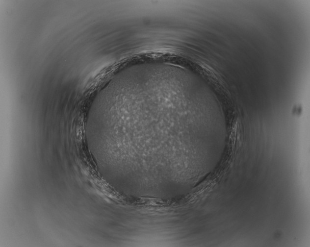 X0000112011014200908171438