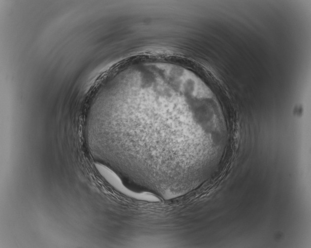 X0000112011016200908171438