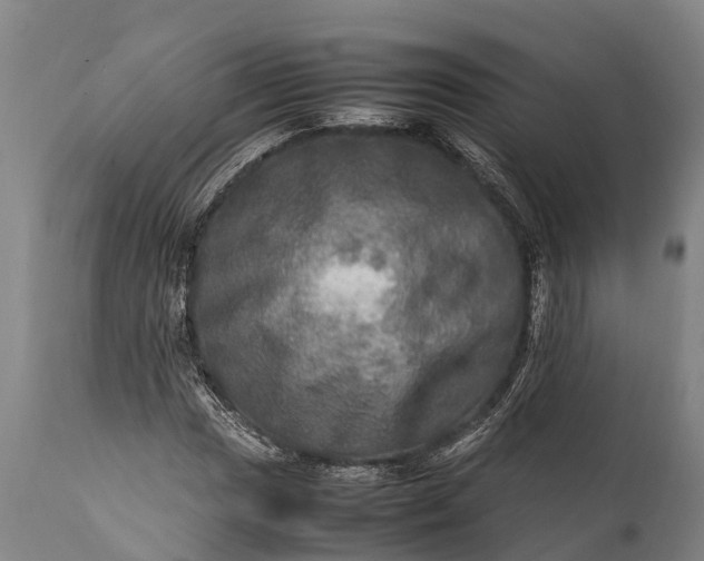 X0000112011017200908171438