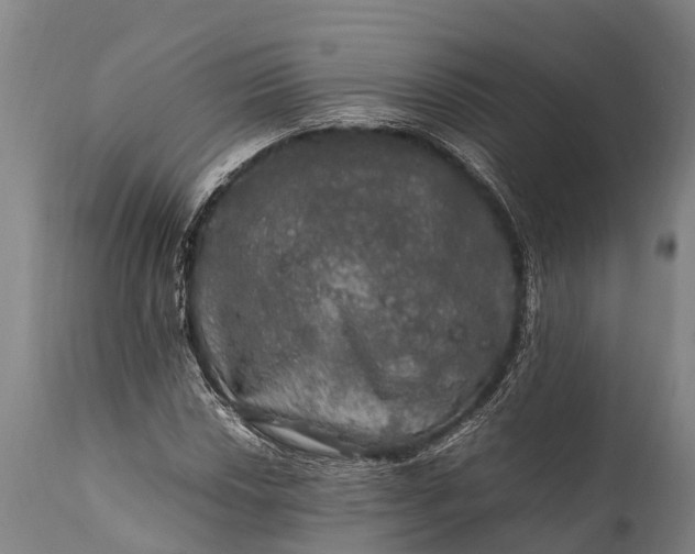 X0000112011018200908171438