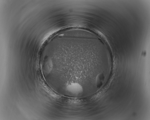 X0000112011019200908171438