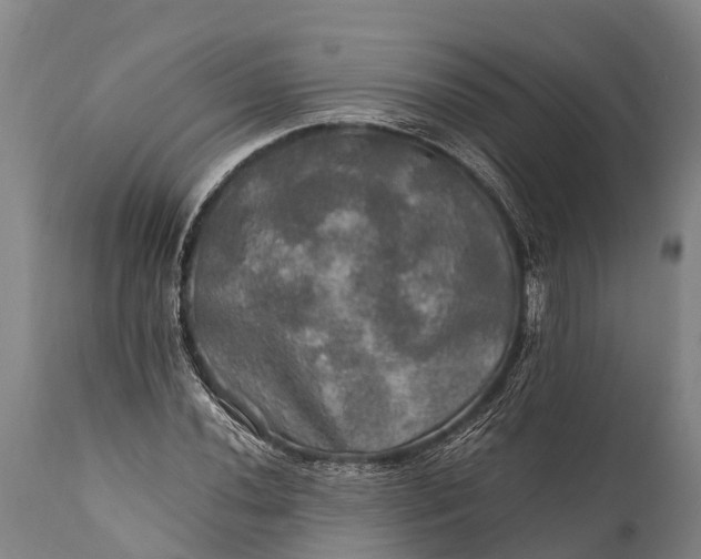 X0000112011020200908171438