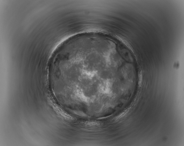 X0000112011021200908171438