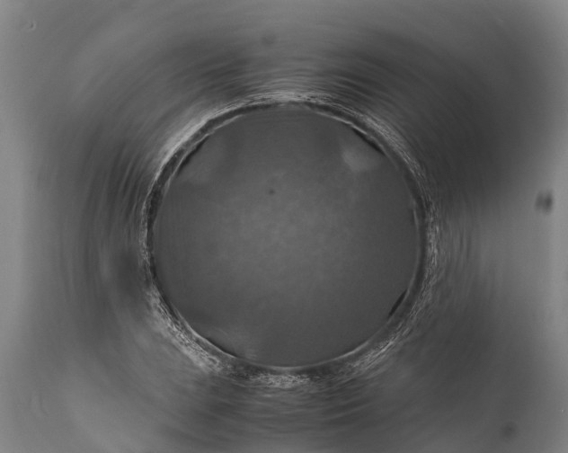 X0000112011023200908171438