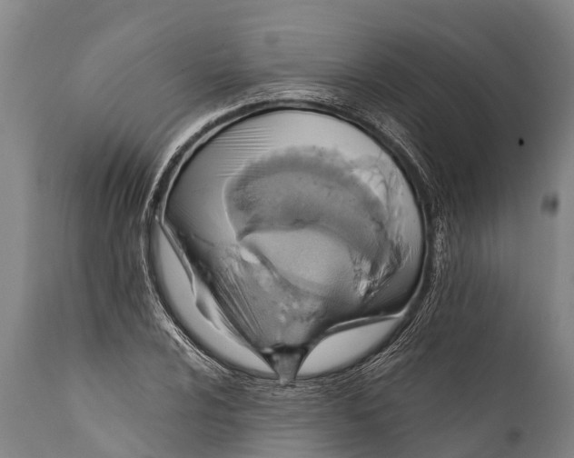 X0000112011024200908171438