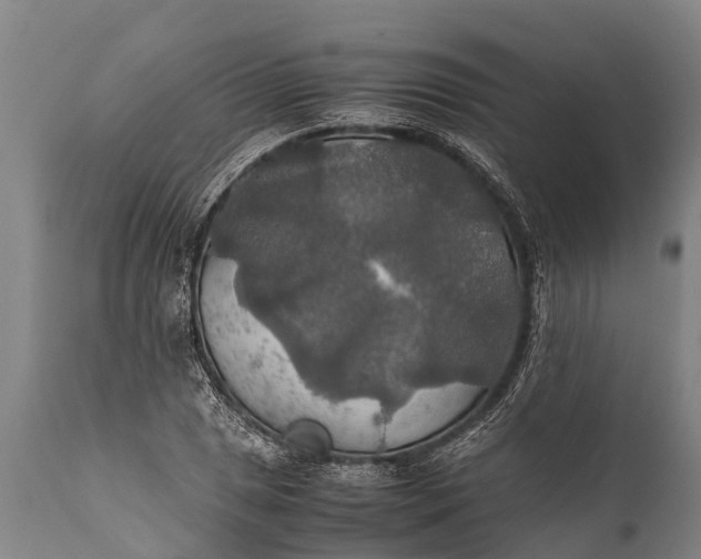 X0000112011025200908171438