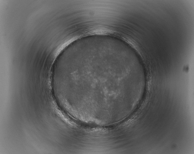 X0000112011026200908171438