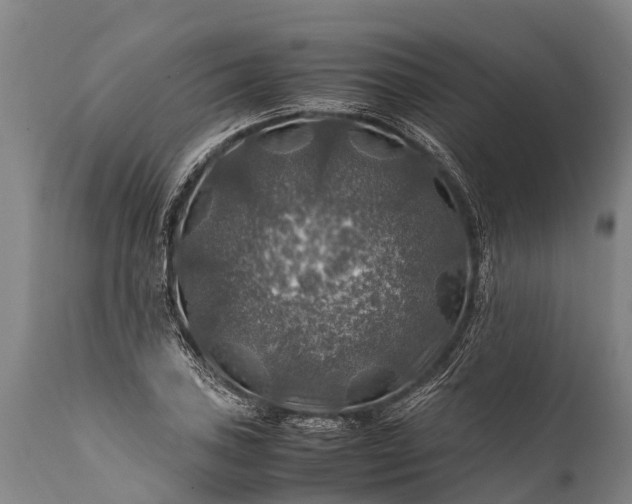 X0000112011027200908171438