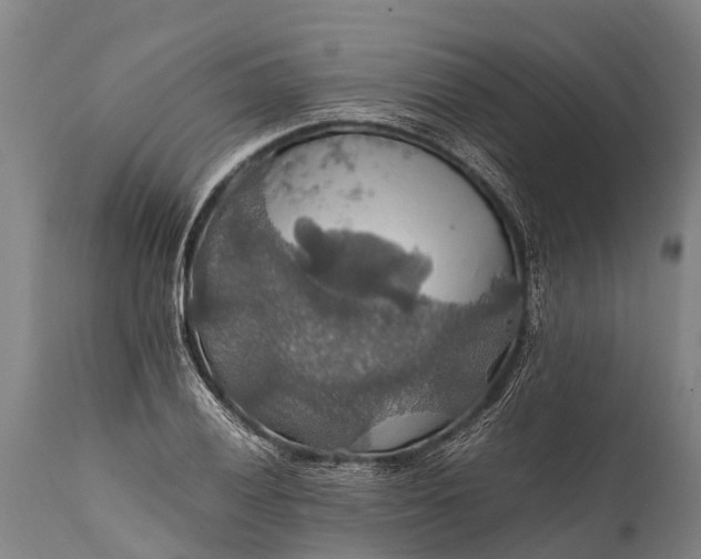 X0000112011028200908171438