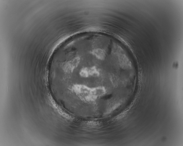 X0000112011029200908171438