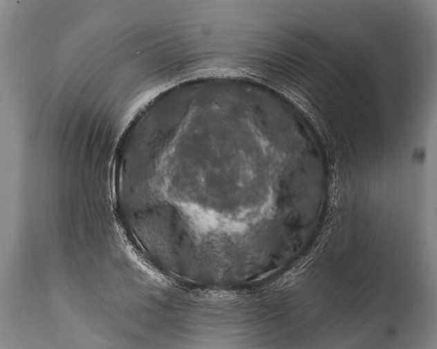 X0000112011030200908171438