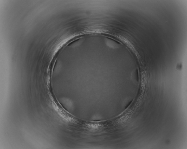 X0000112011031200908171438