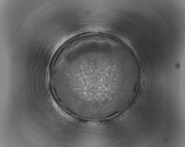 X0000112011032200908171438